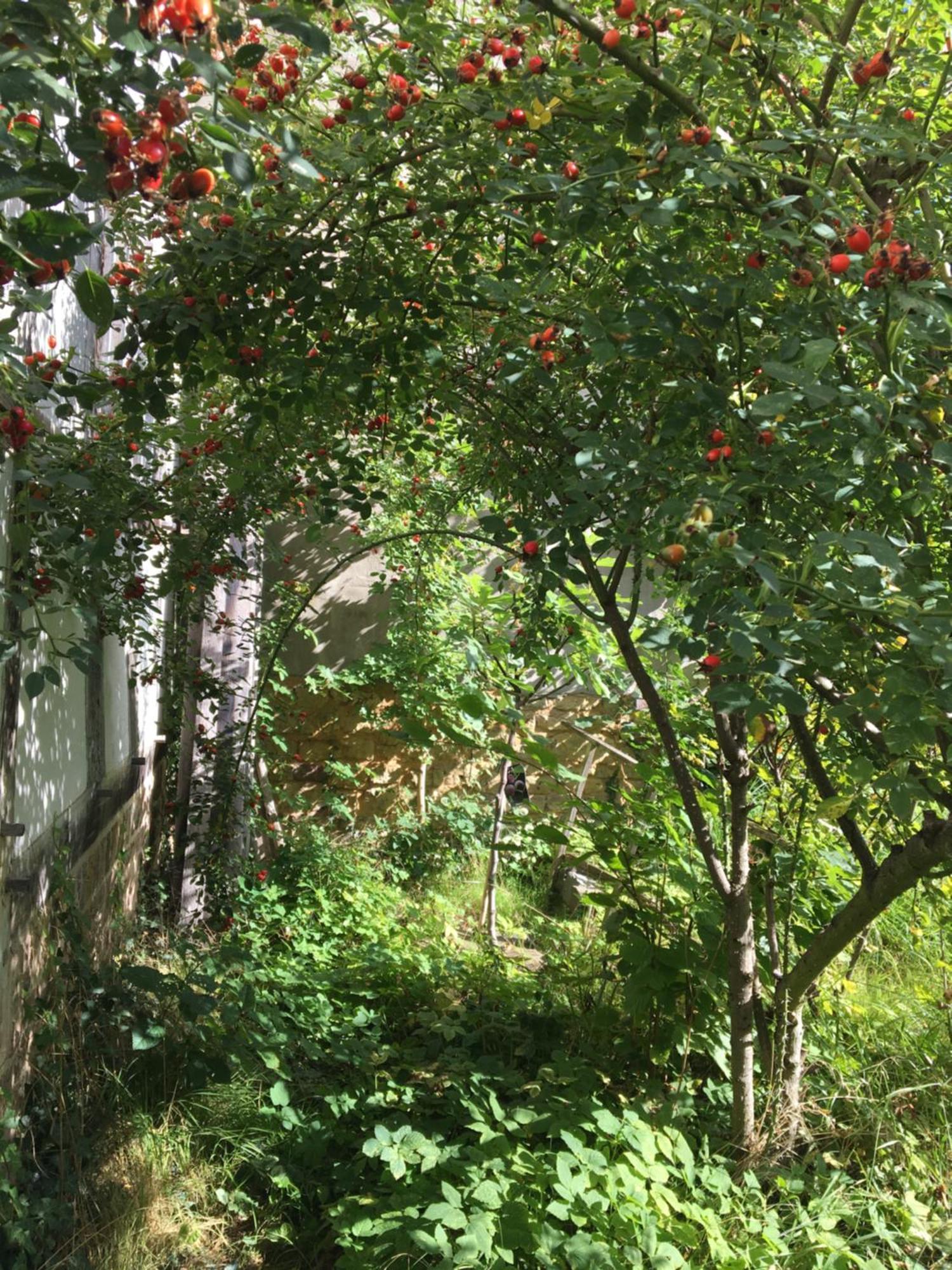 Cherrytree Cottage 1840 Heimbach Bagian luar foto