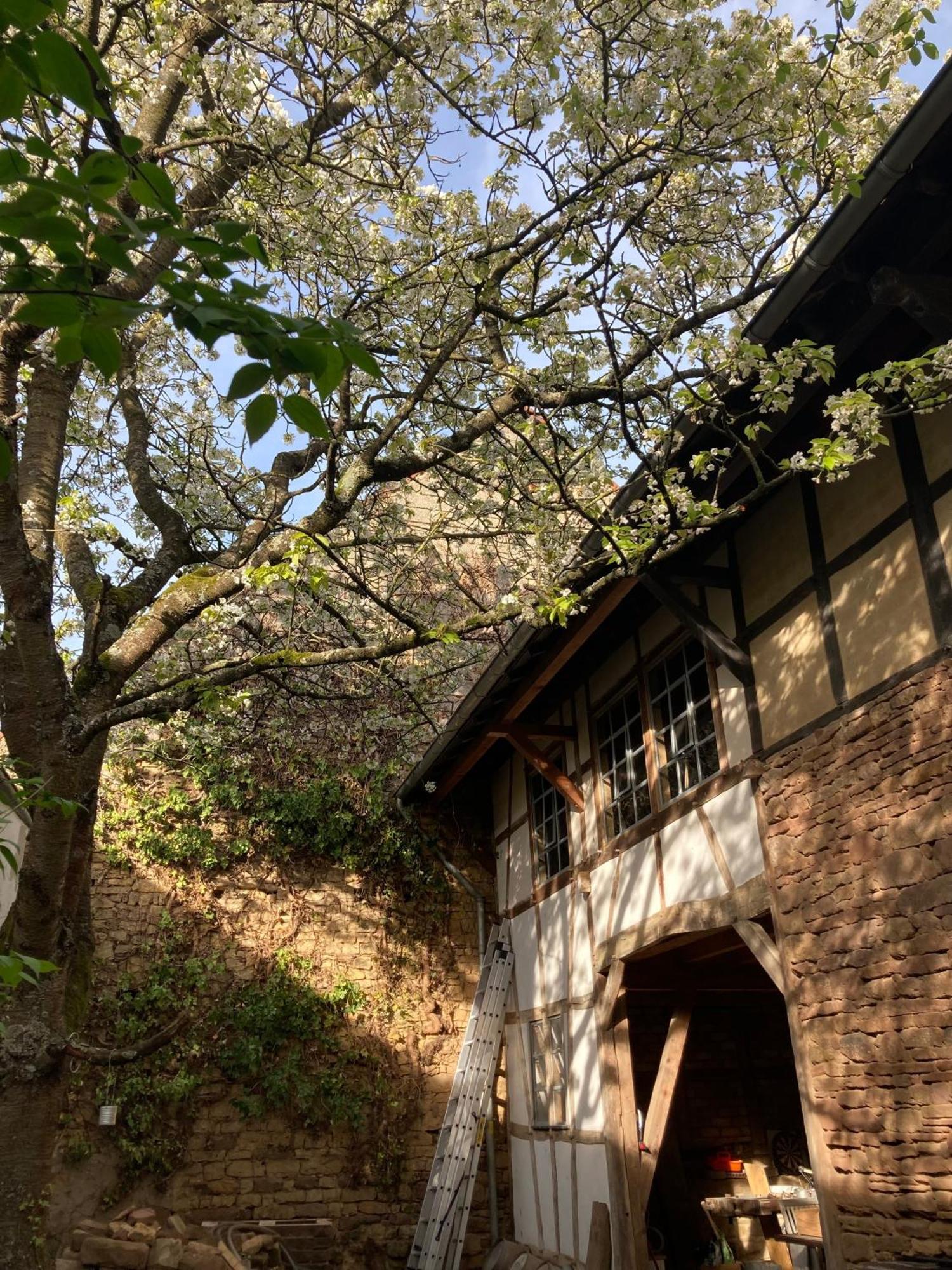 Cherrytree Cottage 1840 Heimbach Bagian luar foto